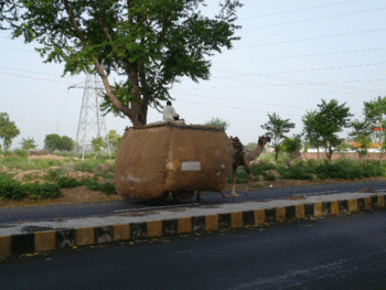 Camel & baggage...