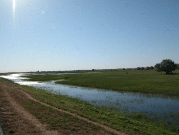 Volga Delta