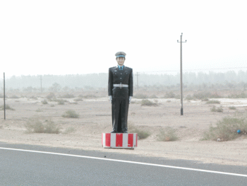 Desert Guard