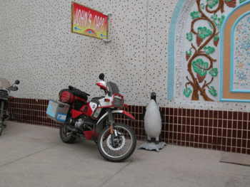 Penguin Guard