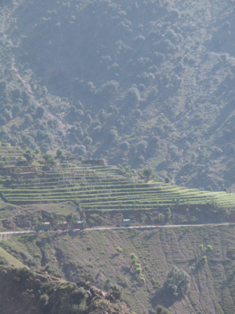 Local scenery